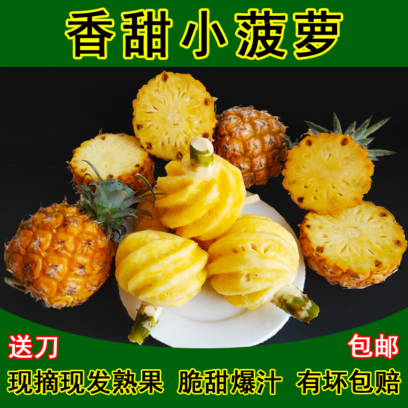 广西现摘树上熟香水菠萝当季新鲜泰国品种小菠萝孕妇即食脆甜水果