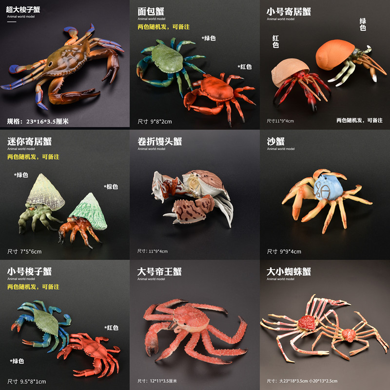 儿童仿真动物玩具模型螃蟹蜘蛛蟹帝王蟹面包馒头蟹梭子蟹寄居蟹