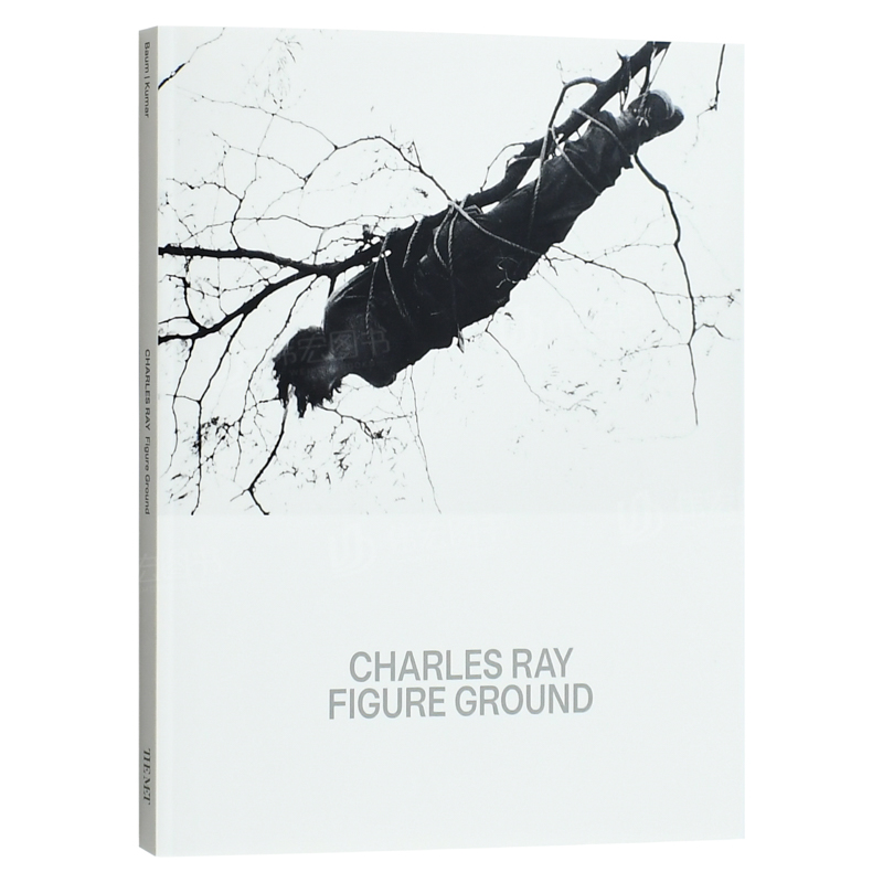 【现货】查尔斯·雷：图案背景Charles Ray: Figure Ground英文艺术家艺术工作室进口原版图书简装Hal Foster