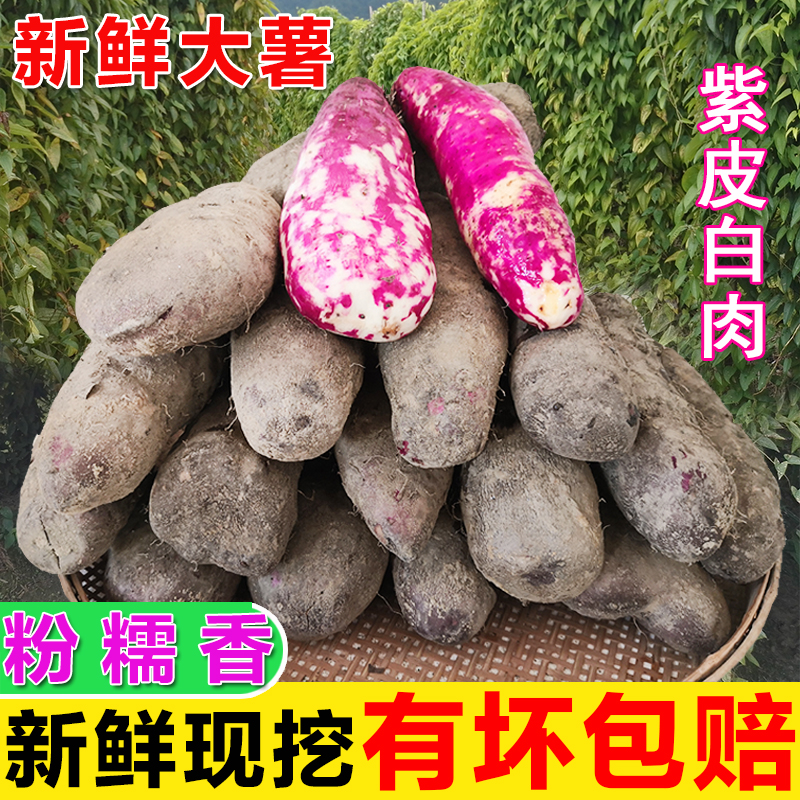 大薯脚板薯紫淮山药现挖农产品特产紫大薯农家毛薯新鲜蔬菜3/5斤