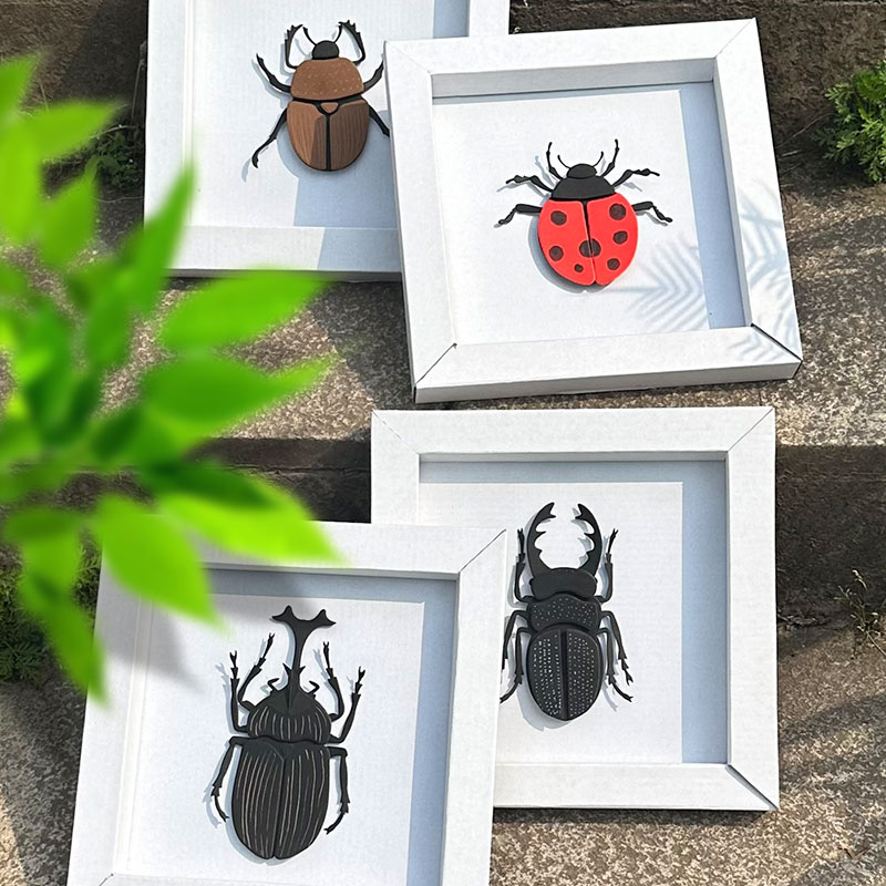 昆虫标本自然生物课学生儿童手工diy制作材料包益智天牛立体艺术