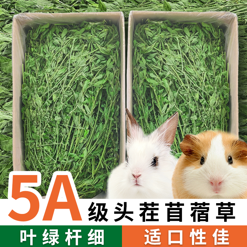 苜蓿草兔粮草兔子饲料干草幼兔荷兰猪龙猫专用吃的苜宿草食用牧草