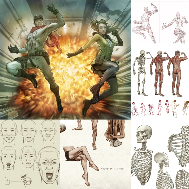 解剖学人体绘画教程韩国插画师角色脸身躯干骨架手臂腿艺术PS板绘