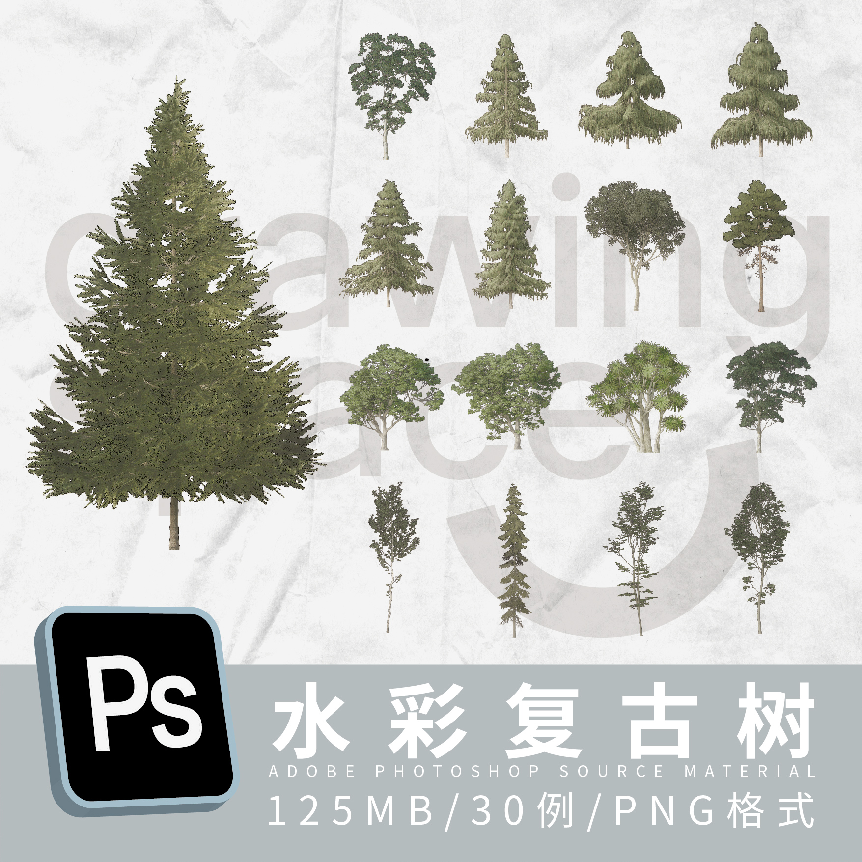 PS高清灰调水彩复古树素材30例PNG格式拼贴效果图植物立面树免扣