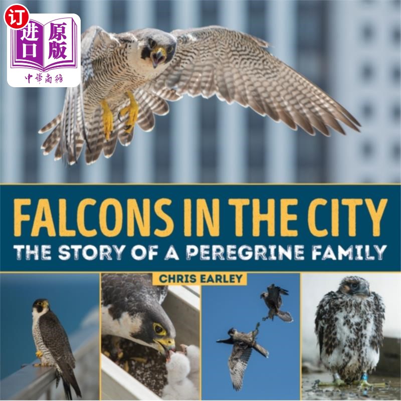 海外直订Falcons in the City: The Story of a Peregine Fam... 猎鹰在城市:一个Peregine家庭的故事