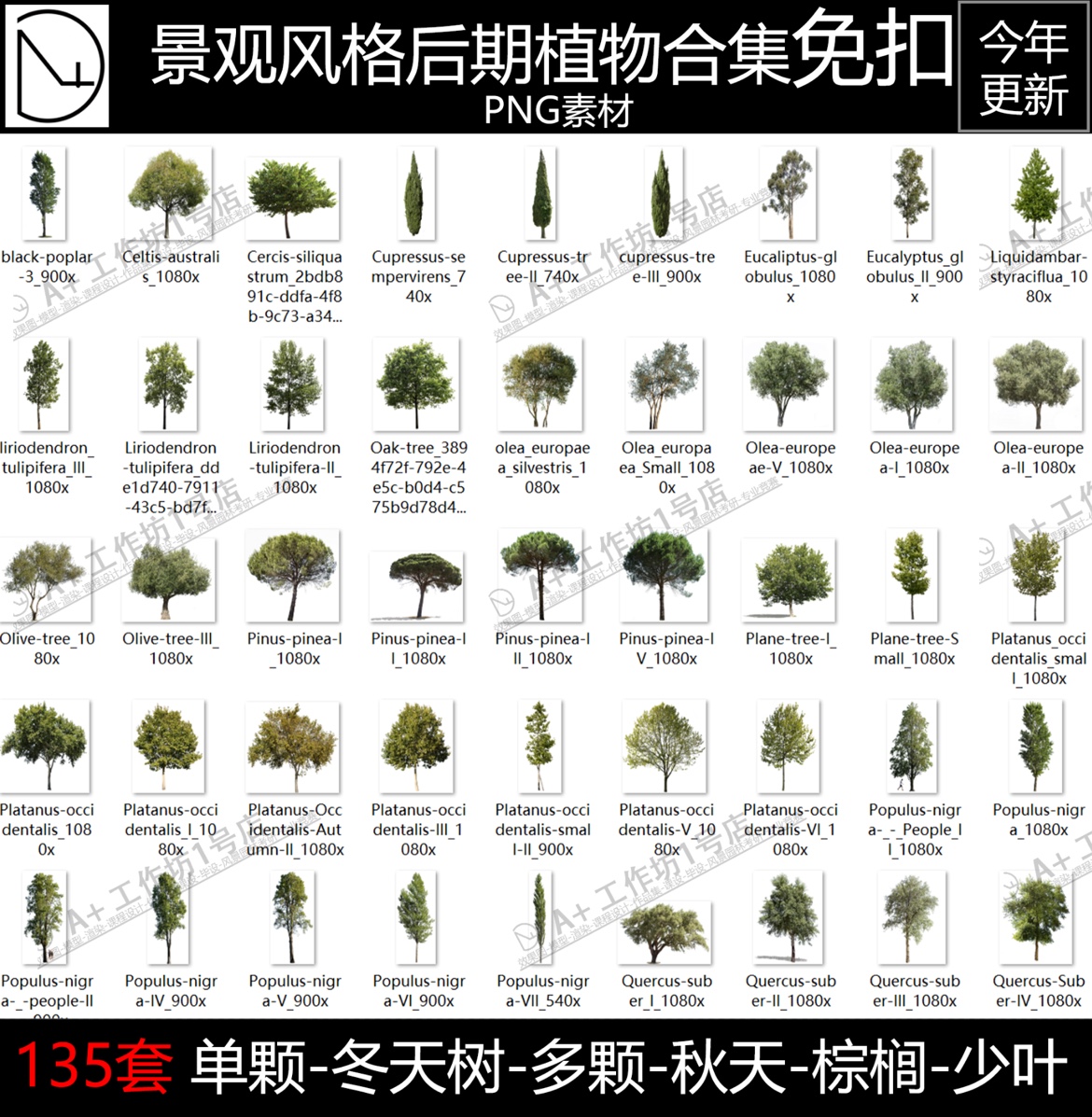 竞赛风格后期植物树木免抠高清贴图PNG素材灌木乔木冬天树秋天树