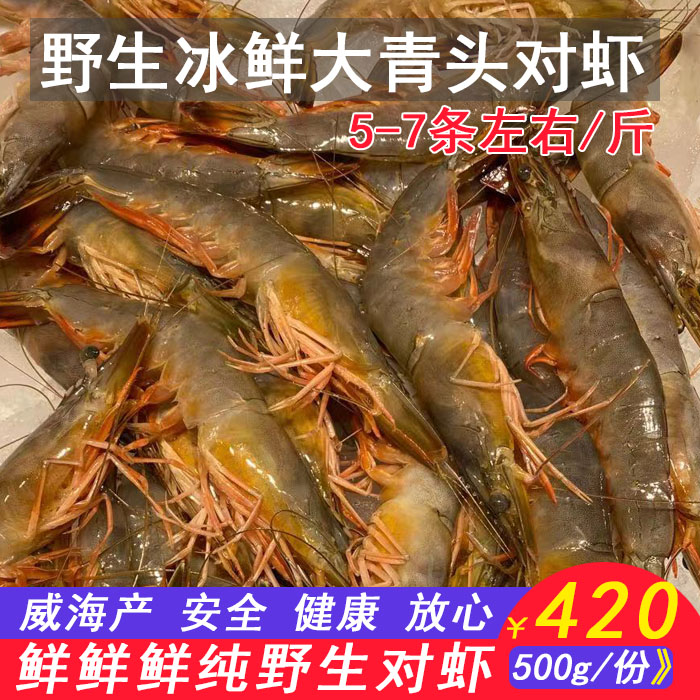 渤海湾威海产野生超大鲜大对虾非冷冻当日海捕6-15头大青头虾基围