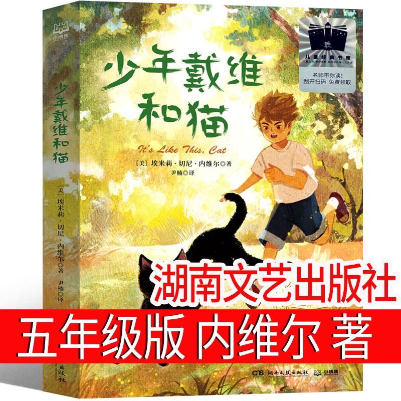 少年戴维和猫 五年级课外书必读 湖南文艺出版社 埃米莉切尼·内维尔著 指间阳光 奇迹 追星星的少年 尼姆的老鼠 少女的红衬衣正版