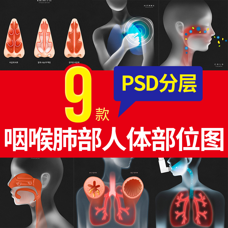 人物 咽喉肺部 人体结构 PSD分层素材 医疗广告图片 ps设计素材库