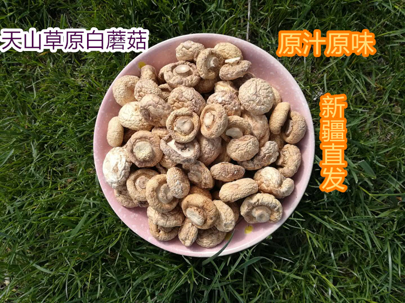 新疆土特产野蘑菇口蘑白蘑草原白蘑菇野生菌500克干品包邮
