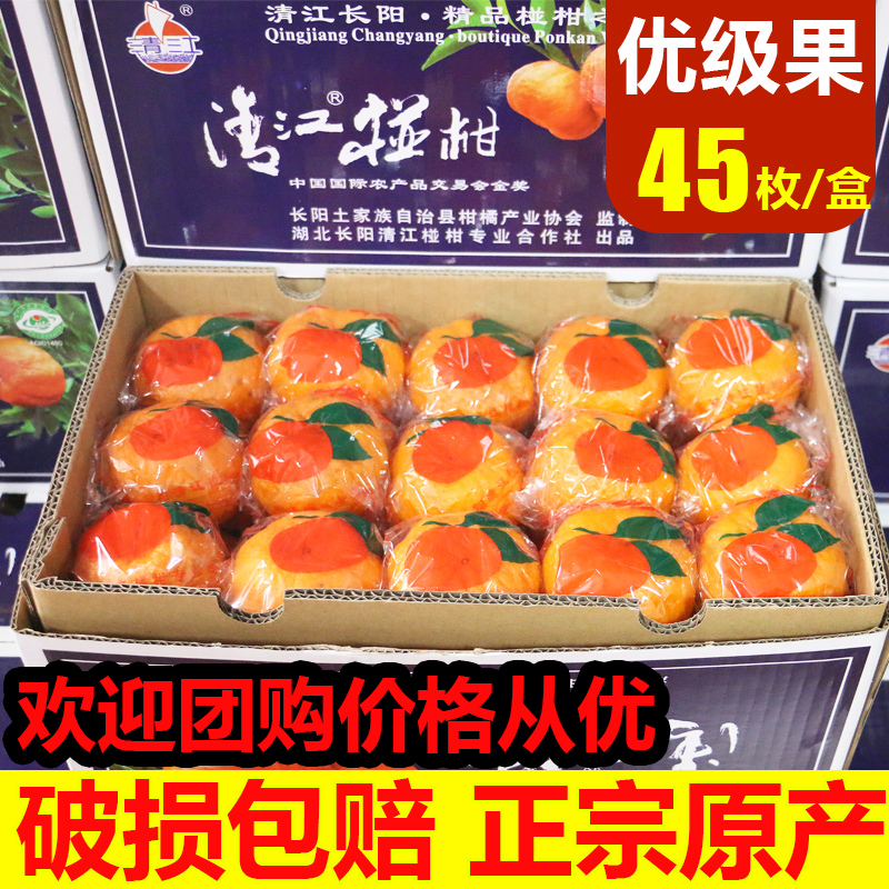 正宗长阳清江岩松坪椪柑蜜桔橘子芦柑水果薄皮化渣甜一级45个装