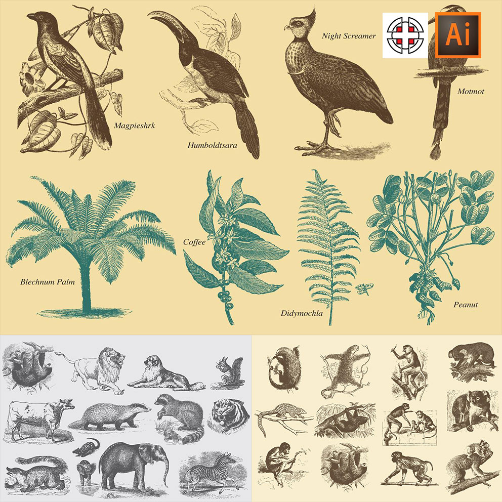 各种动物爬行动物鱼鸟类昆虫等手绘素描草图AI矢量设计素材