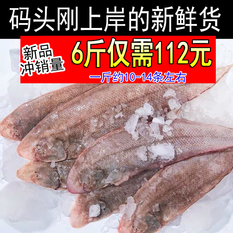 野生小龙利鱼海捕舌头鱼踏板鱼鳎目鱼1斤约10-14条新鲜牛舌鱼海鱼