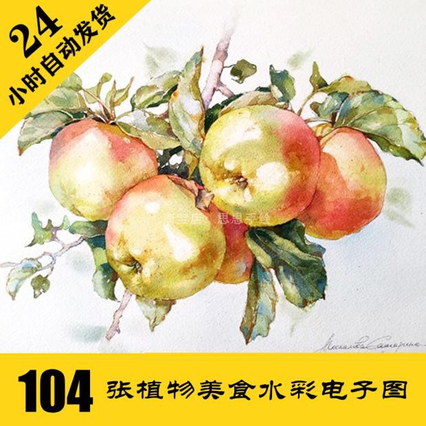 W041 水果水彩作品 电子图104张 植物花卉手绘 24小时自动发货
