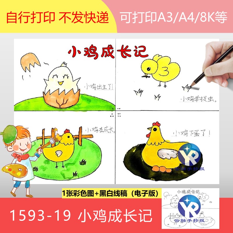 1593-19暑假综合实践活动小鸡成长记四格漫画手抄报模板电子版
