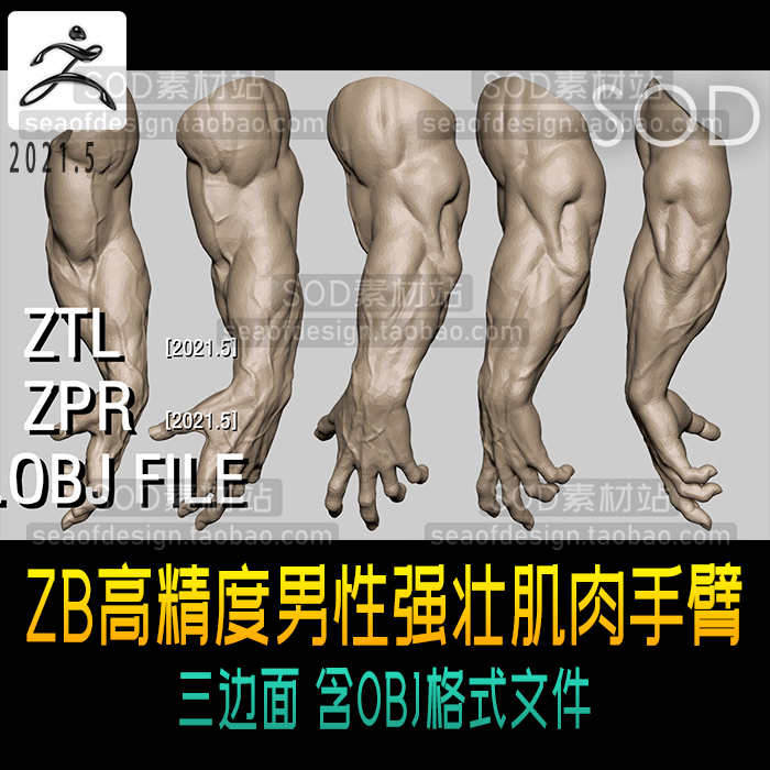 zbrush高精度男性强壮肌肉手臂模型  ZB模型 OBJ模型
