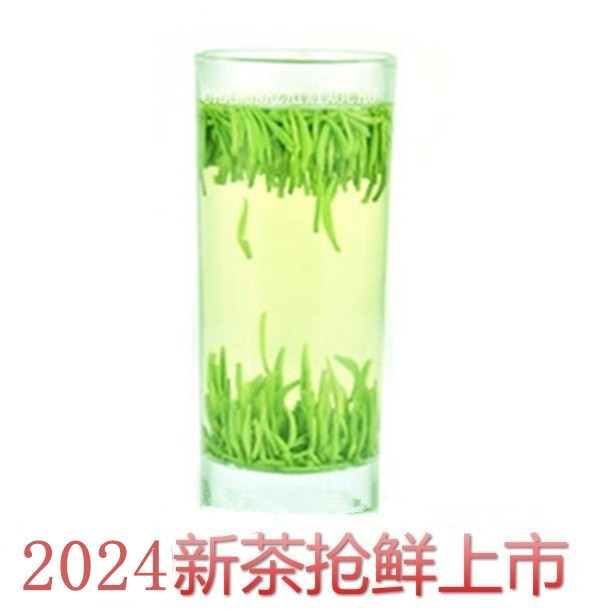 2024年新茶绿茶火暴推出春茶明前独芽雀舌250g茶叶嫩芽包邮