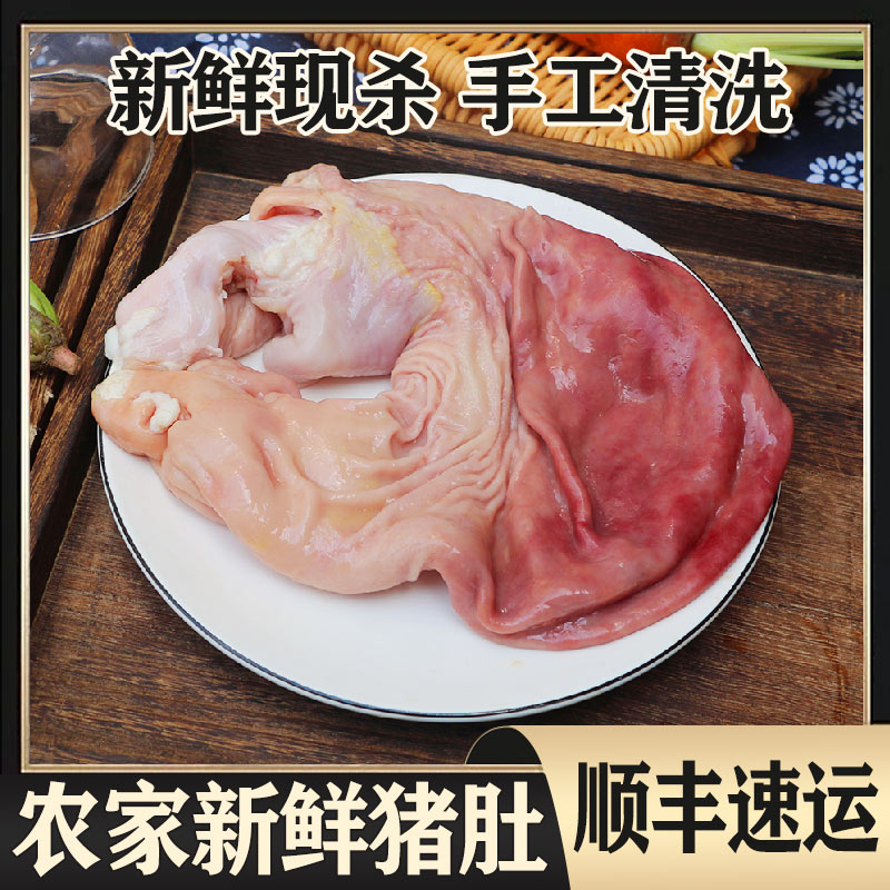 生猪肚 500g  新鲜土猪肚 一个1-1.2斤重 农家新鲜整个 猪肚 猪胃