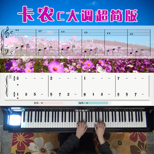 卡农C大调超简版 五线谱简谱钢琴教学课程 悠秀