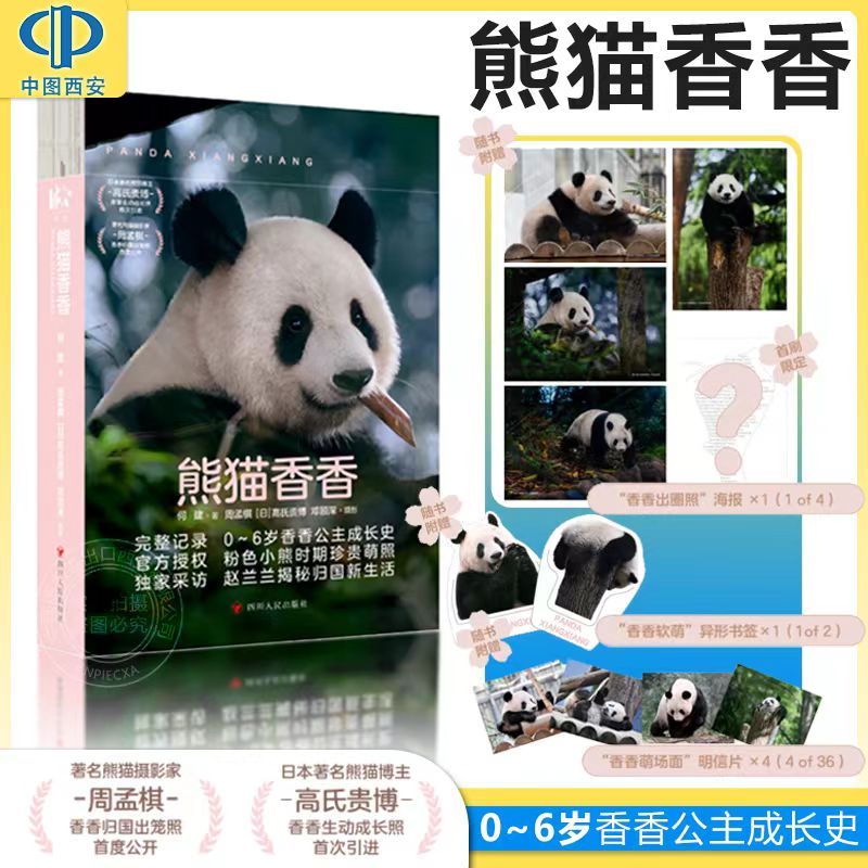 中国四川大熊猫