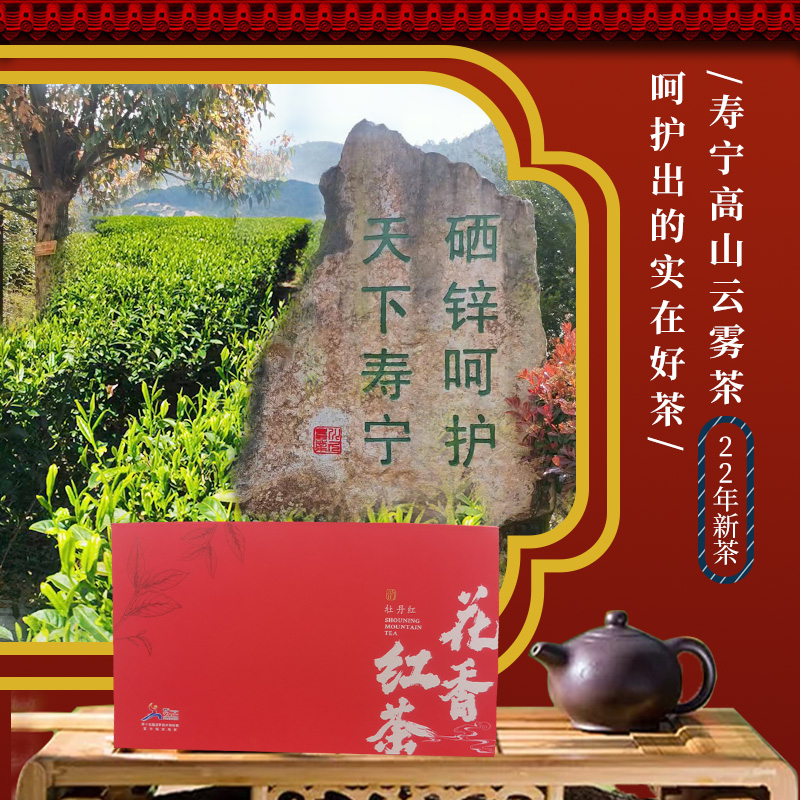 2023新款寿宁高山红茶特级养胃红茶叶休闲茶下乡的味道母亲节茶包