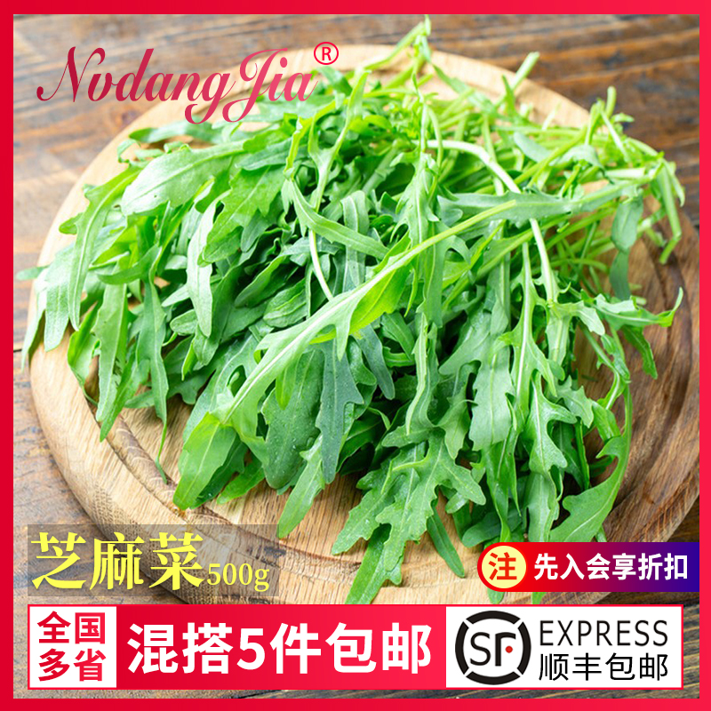芝麻菜新鲜沙拉食材火箭菜西餐沙拉蔬菜轻食色拉生菜芝麻叶500g