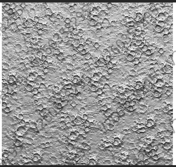 月球表面 陨石 龟裂 纹理精雕图 陨坑 灰度图 底纹 雕刻图  jdp