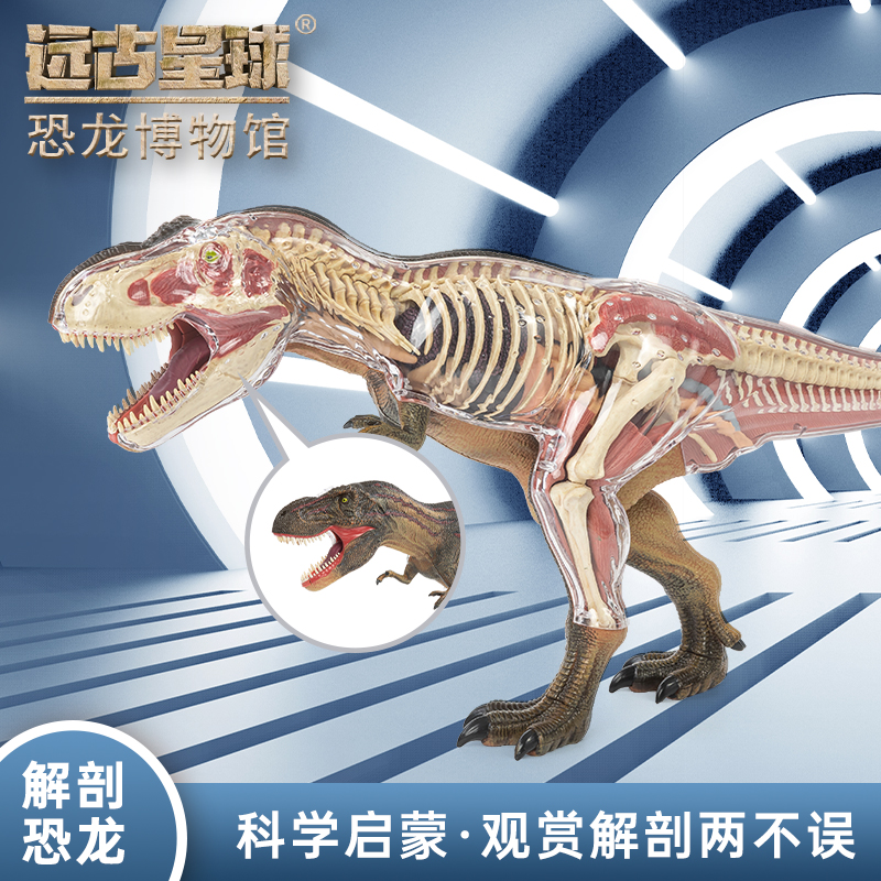 远古星球恐龙拼装益智玩具男孩可拆卸结构模型仿真内脏解剖器官