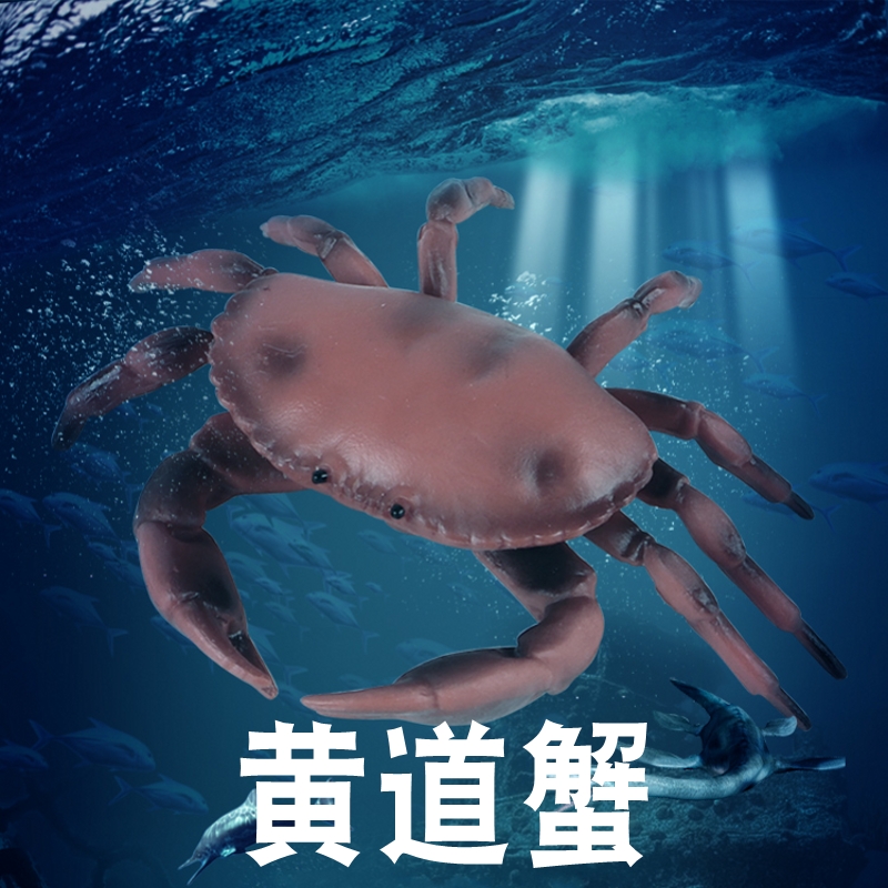 林畅模玩海洋爬行动物玩具黄道蟹模型面包蟹儿童仿真螃蟹海底生物