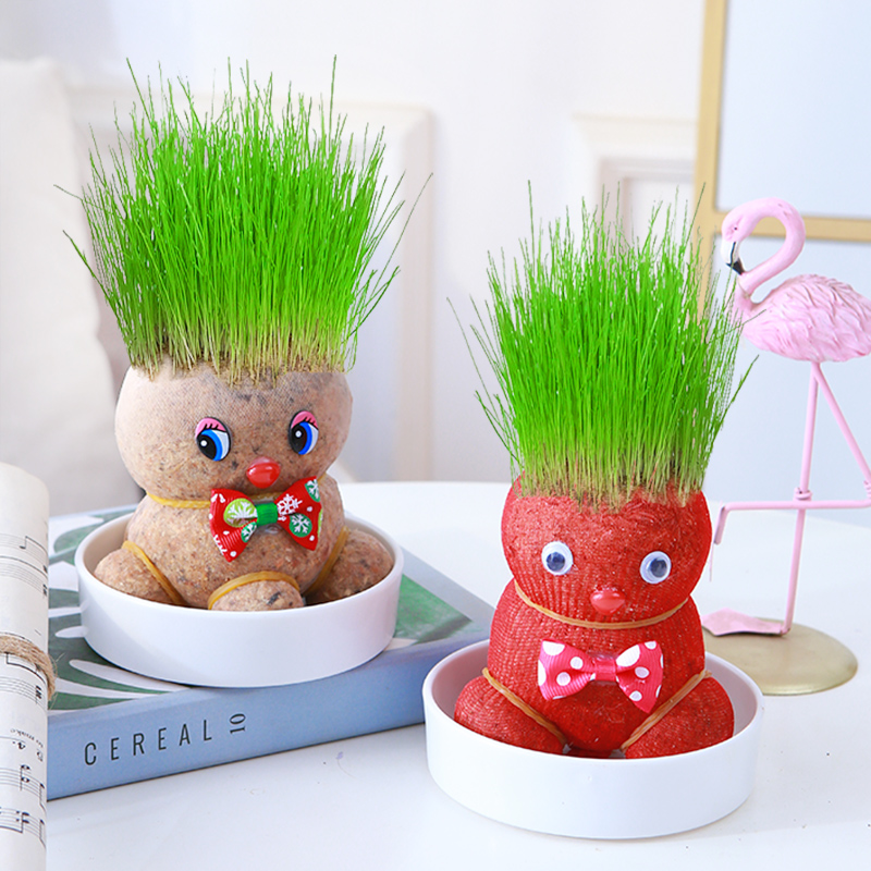 可爱迷你植物长草娃娃适合儿童的小绿植浇水长草桌面创意趣味盆栽