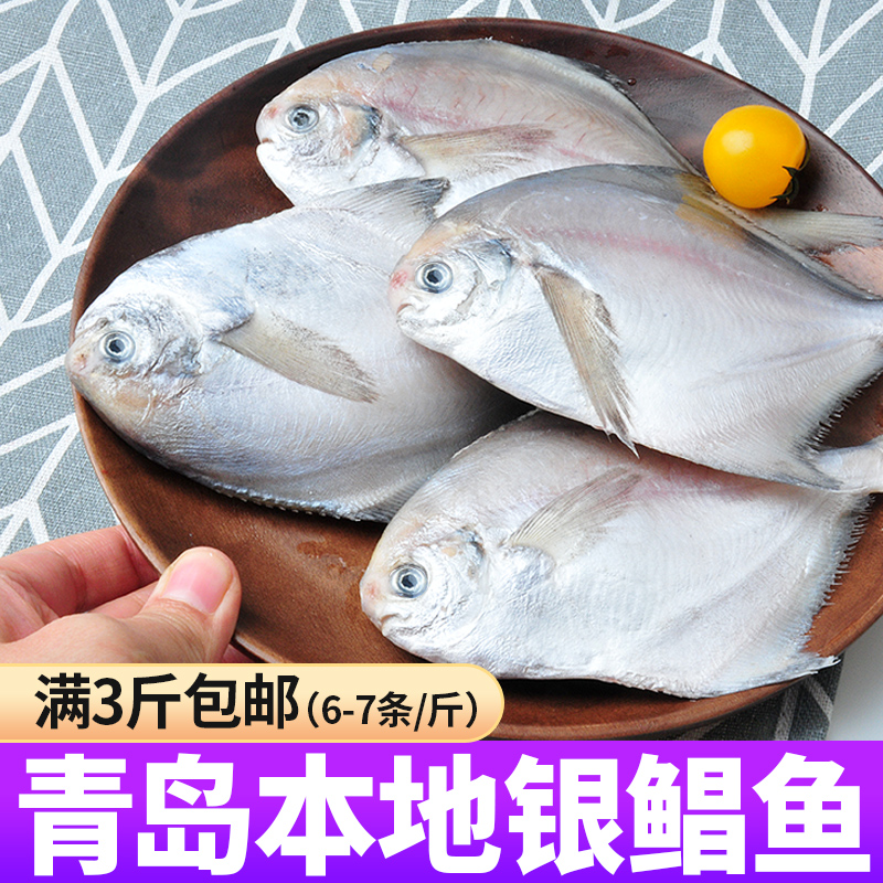 1斤6-7条鲳鱼新鲜冷冻昌鱼特大白鲳鳊鱼海鱼小平鱼野生仓鱼银鲳鱼