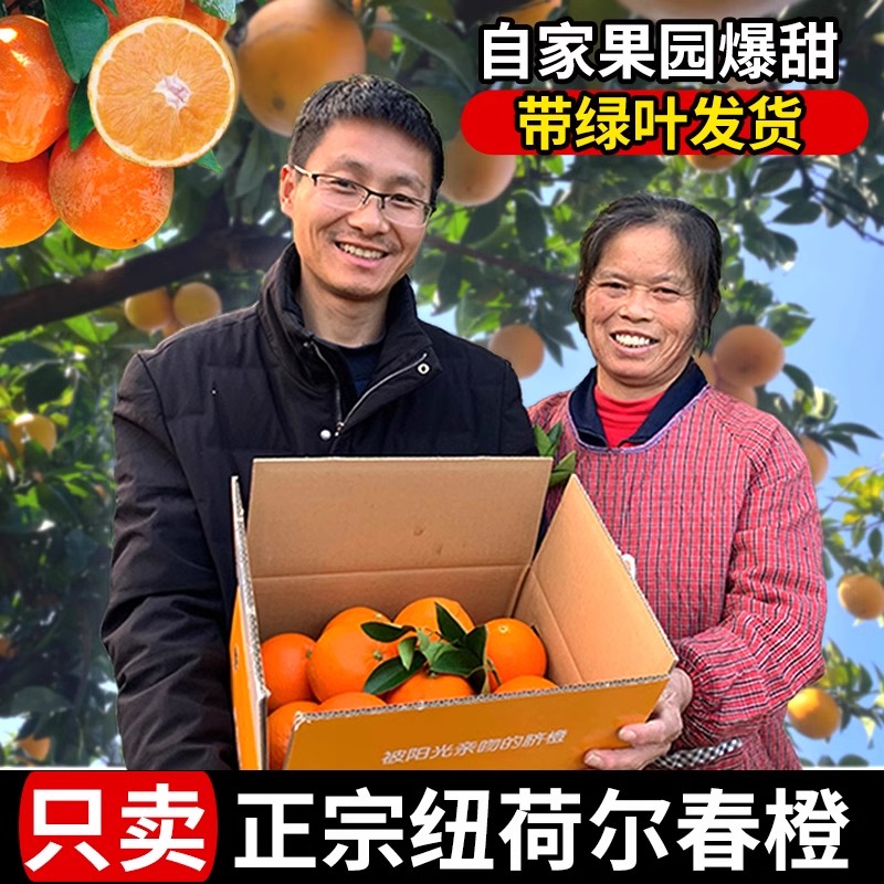 【现摘现发】正宗秭归脐橙精品当季新鲜水果产地直发手剥橙9斤10