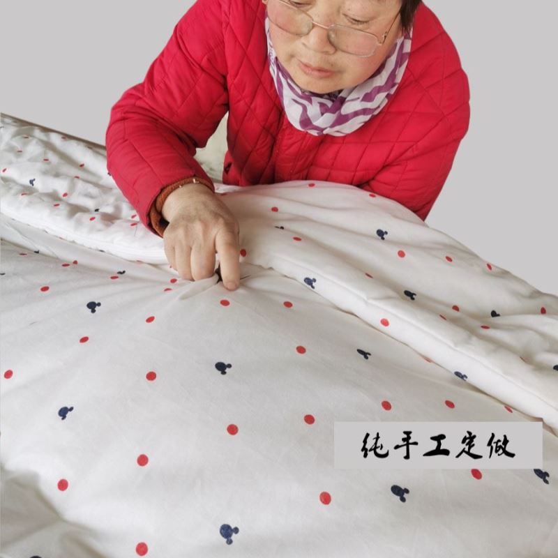 婴儿床垫褥垫秋季被子儿童幼儿园小被子褥子枕芯三件套定做棉花被