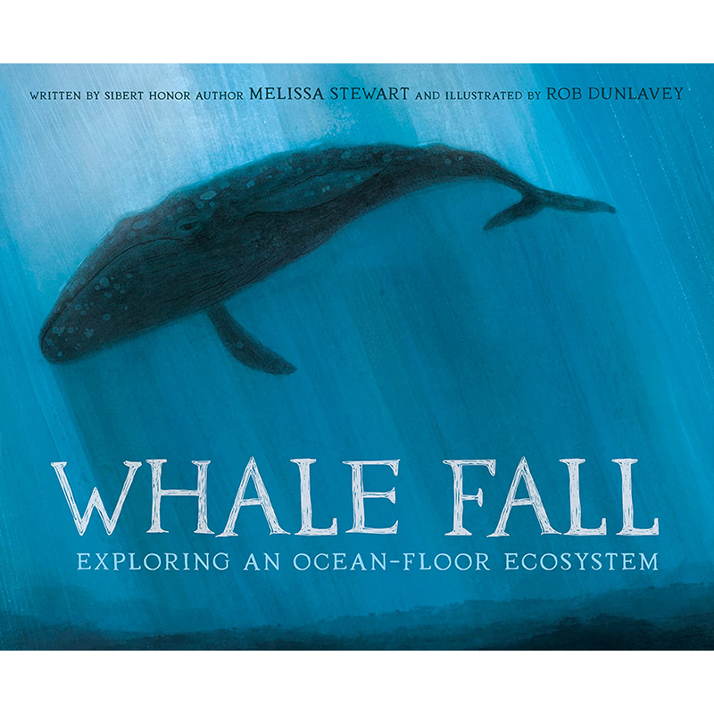 【预售】英文原版 Whale Fall 鲸落 探索海底生态系统 Random House Studio Melissa Stewart 深海生物插画绘本儿童书籍