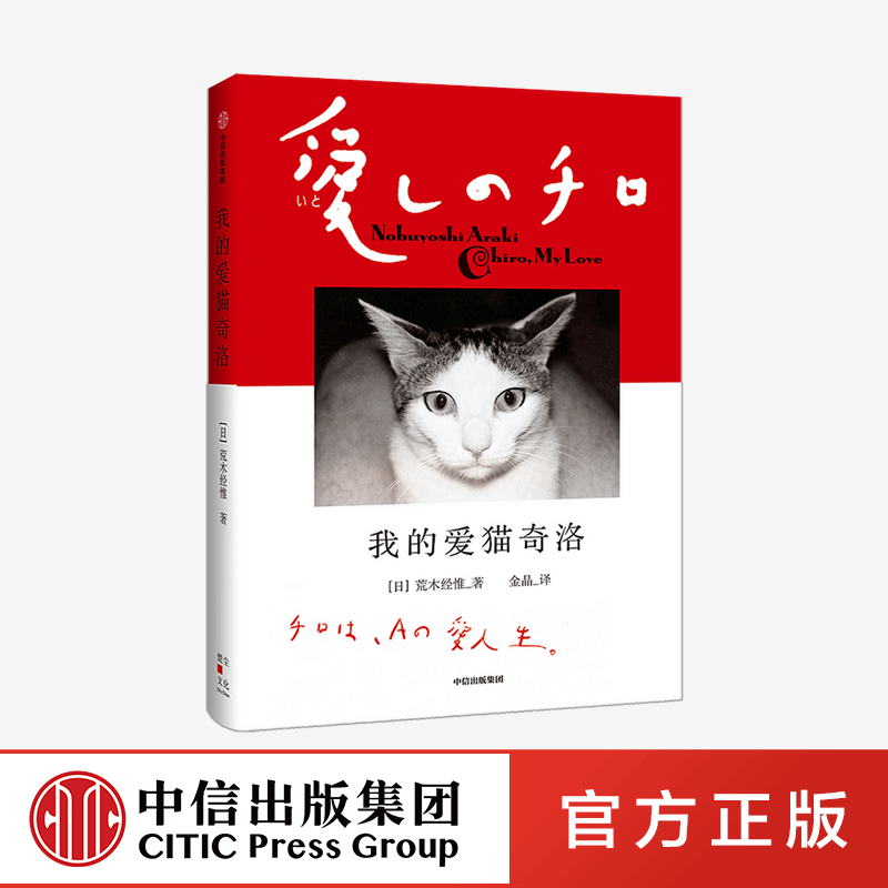 我的爱猫奇洛 荒木经惟 著 荒木阳子 摄影 猫咪 爱情 思念 宠物 中信出版社图书 正版
