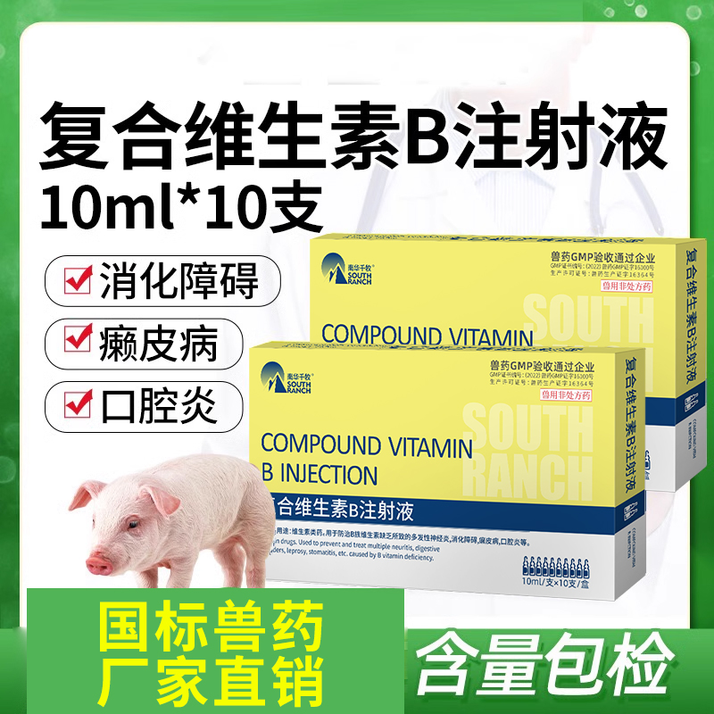 兽药复合维生素B注射用液 兽用猪牛羊兔B1B2B6消食开胃口腔炎针剂