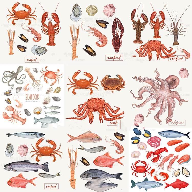 手绘水彩海鲜鱼螃蟹龙虾扇贝生蚝产品包装活动海报插画AI设计素材