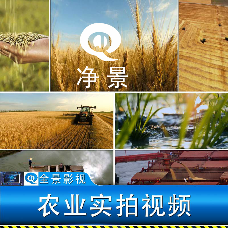 航拍现代农业新农村稻田小麦田农民农耕水稻粮食收割丰收视频素材