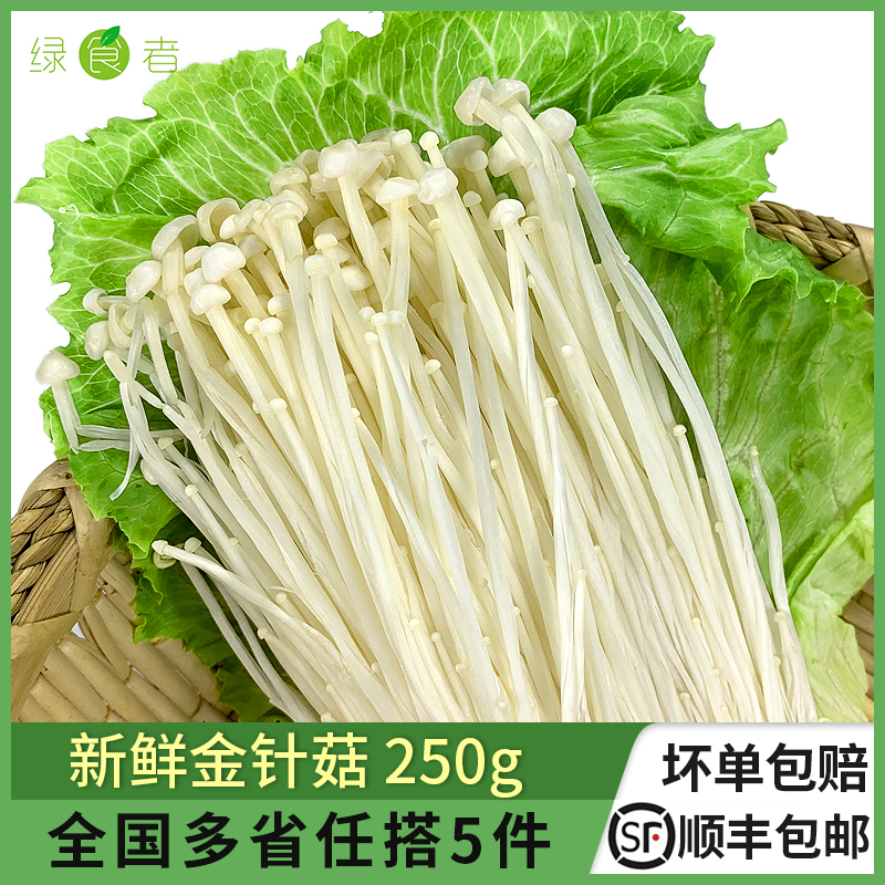 新鲜金针菇250g 时鲜菌类 凉拌烧烤蔬菜火锅素菜配菜麻辣烫食材
