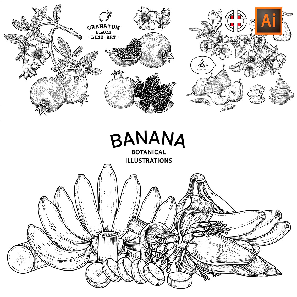 苹果梨子香蕉石榴桃子西红柿水果白描线条素描插画AI矢量设计素材