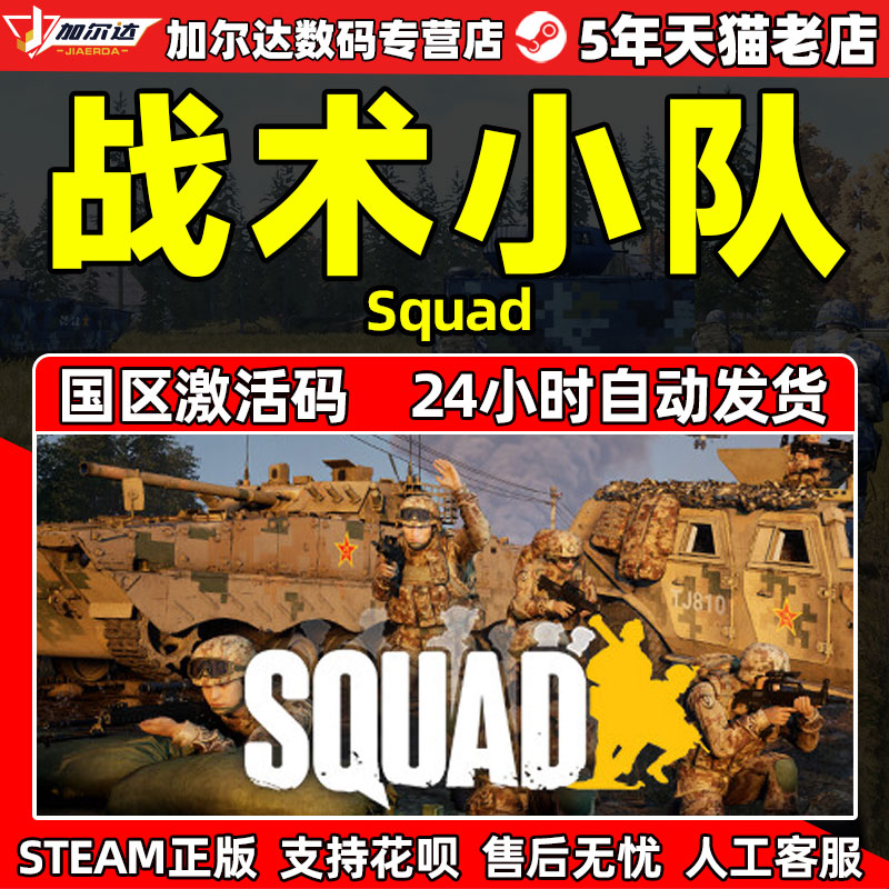 PC中文正版steam 战术小队 Squad 模拟军事 多人联机 第一人称射击游戏 国区激活码cdkey秒发