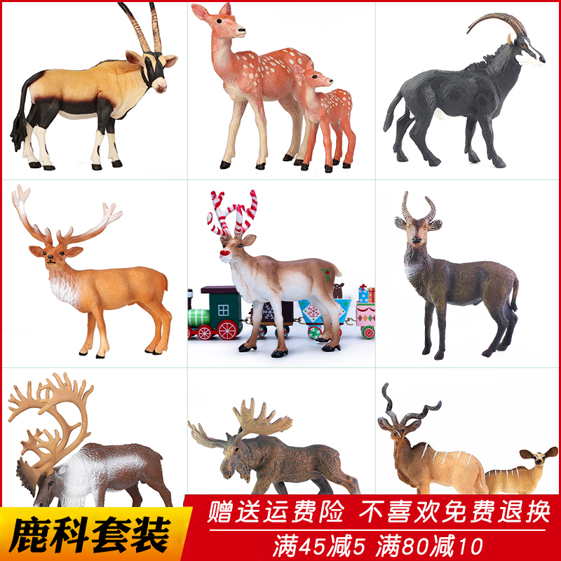 仿真野生动物模型驯鹿玩具梅花鹿熟料马鹿儿童玩具科教认知藏羚羊
