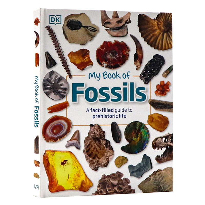DK我的化石之书：一本充满事实的史前生活指南百科英文原版My Book of Fossils古代动物植物化石视觉指南揭示我们世界的原始历史