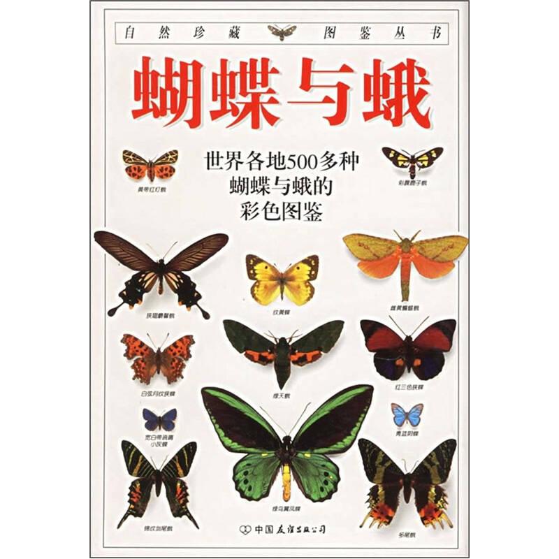 正版现货 蝴蝶与蛾 全世界500多种蝴蝶的彩色图鉴 卡特 著 猫头鹰出版社 译  中国友谊出版公司