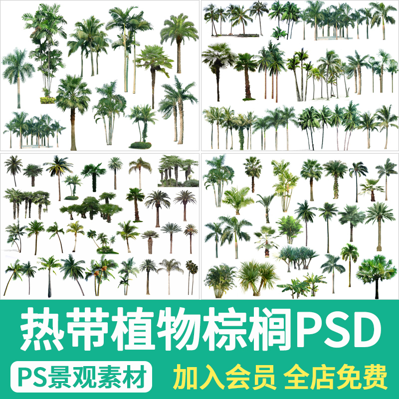 热带树植物棕榈椰子树芭蕉树PS景观效果图配景乔木素材psd源文件