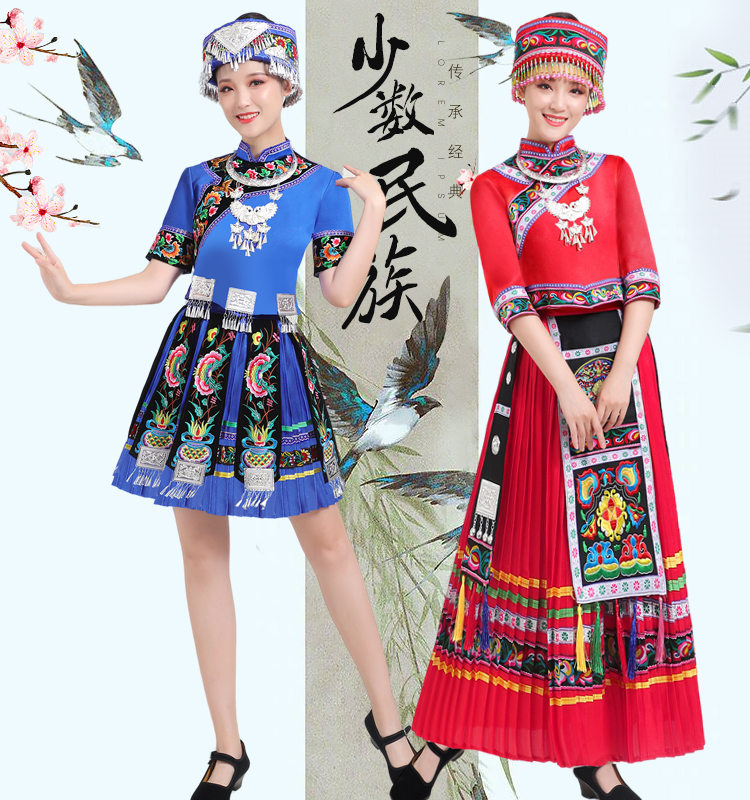 新款少数民族特色传统水族服装演出服成人女合唱舞蹈表演服饰套装