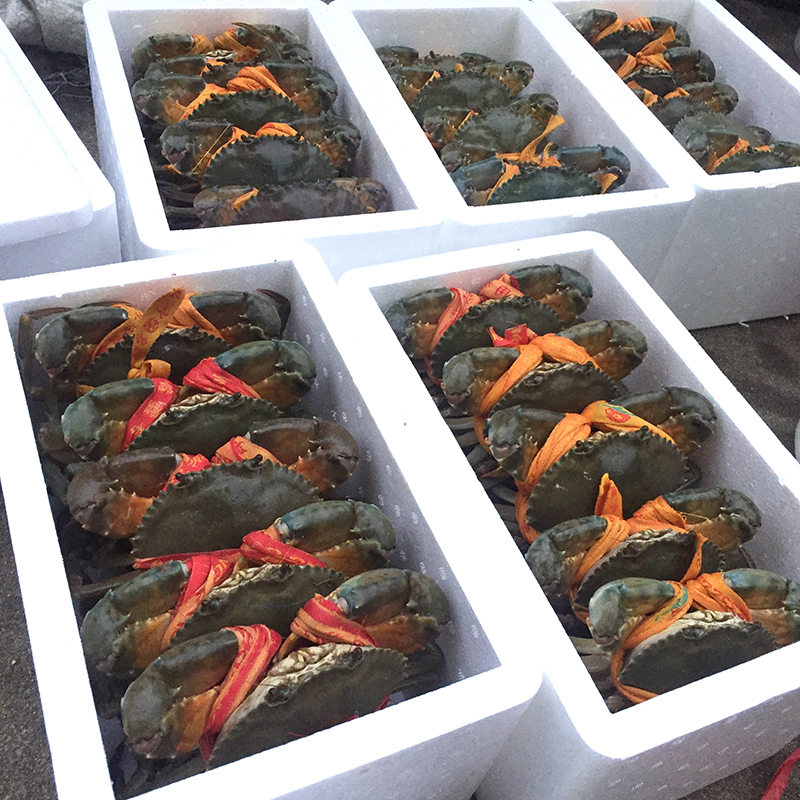 三门青蟹5斤肉蟹公蝤蠓海蟹送礼大螃蟹海鲜鲜活水产特产礼盒包装