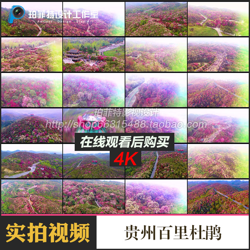 贵州百里杜鹃风景名胜区4K旅游航拍高清实拍剪辑视频素材
