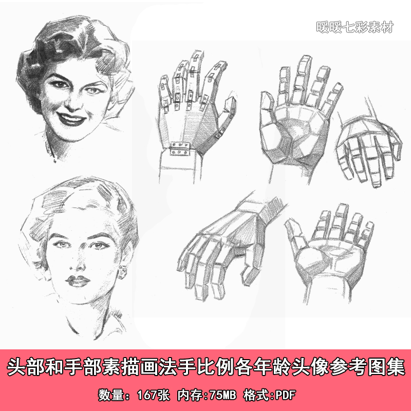手部和头部素描画法参考图集167张 手部比例 男女各年龄段头像