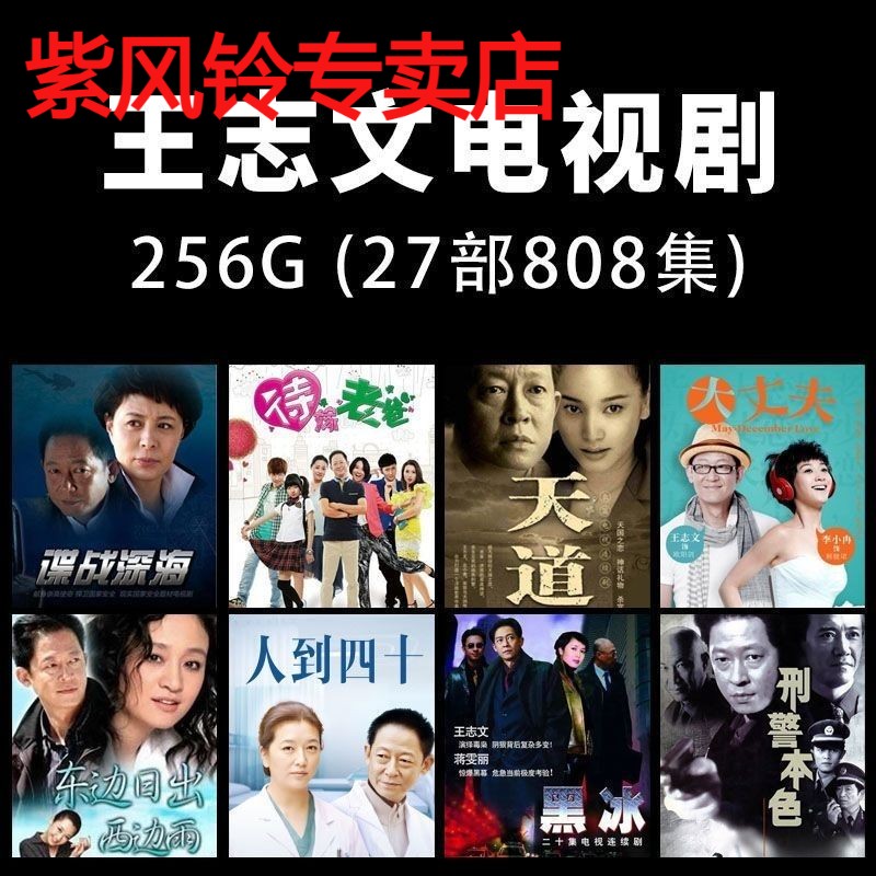 256G王志文u盘谍战电视剧系列天道黑冰合集优盘车载看戏机MP4视频